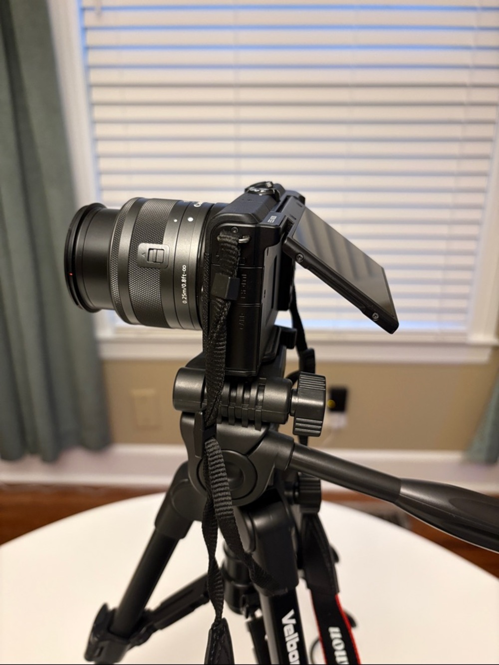 Canon EOS M200 Mirrorless Camera Bundle W/ Lens, Tripod, Extra Battery + Case - Picture 10 of 14